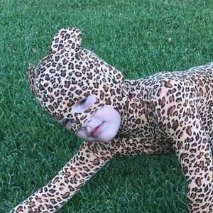 Meet your Posher, Jack